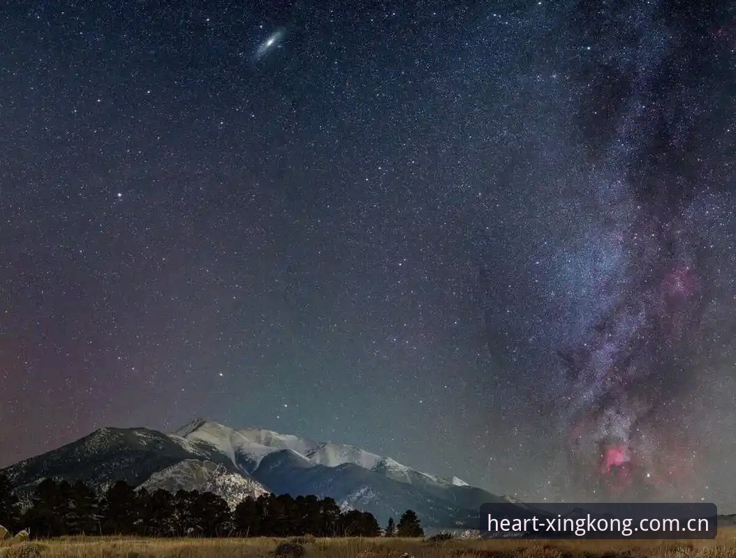XK星空APP下载 揭秘XK星空APP下载背后的真相:赛事数据远比你想象的复杂