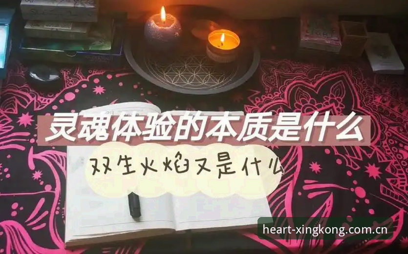 星空官方中国登录 星空平台深度解析:从真实体验到数据服务的全面解读