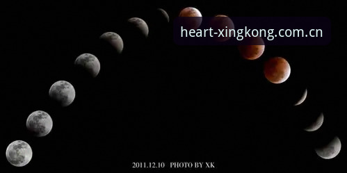 XK星空赛事数据 看懂XK星空赛事数据的3个关键点:一个圈内人给新手划的重点