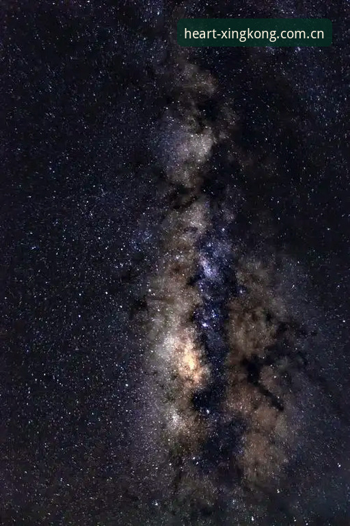 XK星空登录方法攻略：为什么移动端比PC端更容易卡在验证环节？